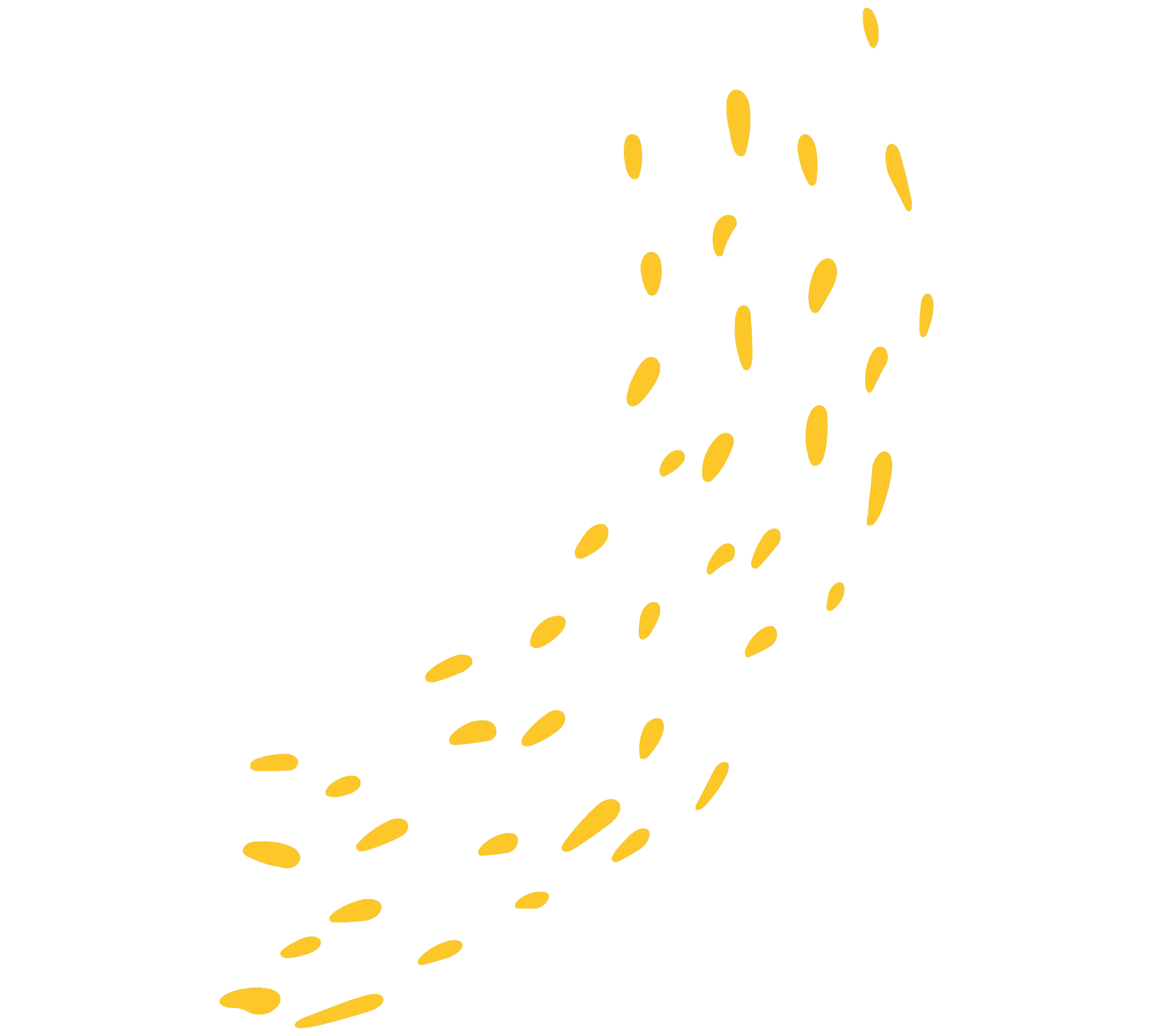 Confetti