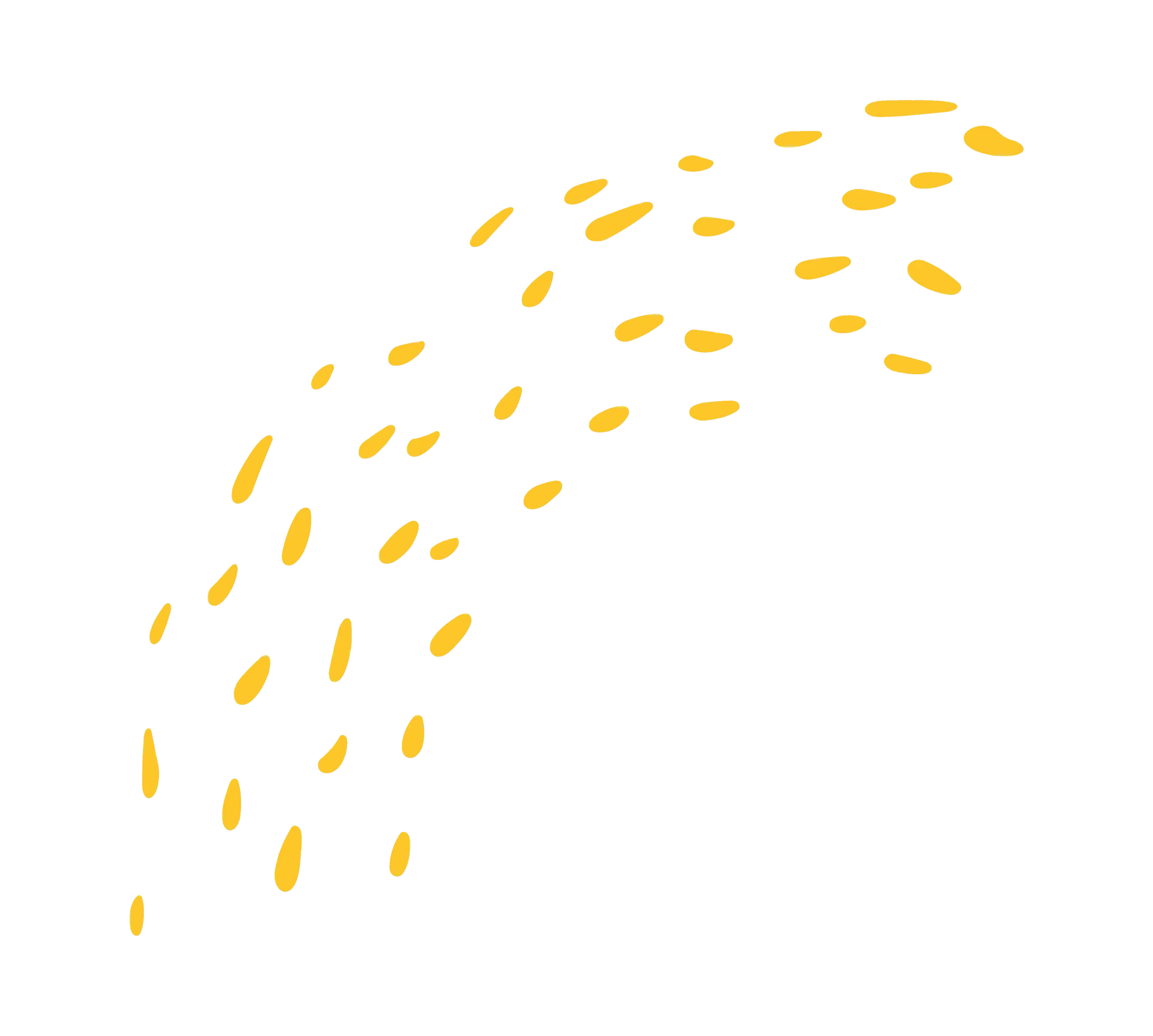 Confetti